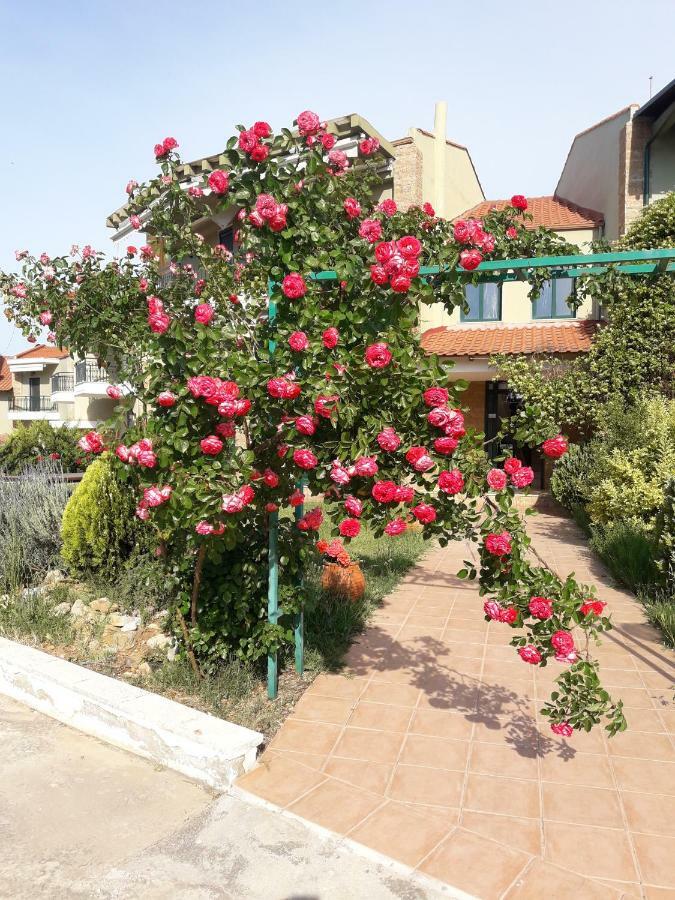 Cozy Apartment Fantastic View Nea Moudania Exterior photo